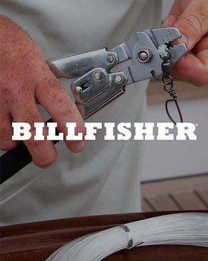 Billfisher